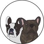 Two French Bulldogs - Author Pic