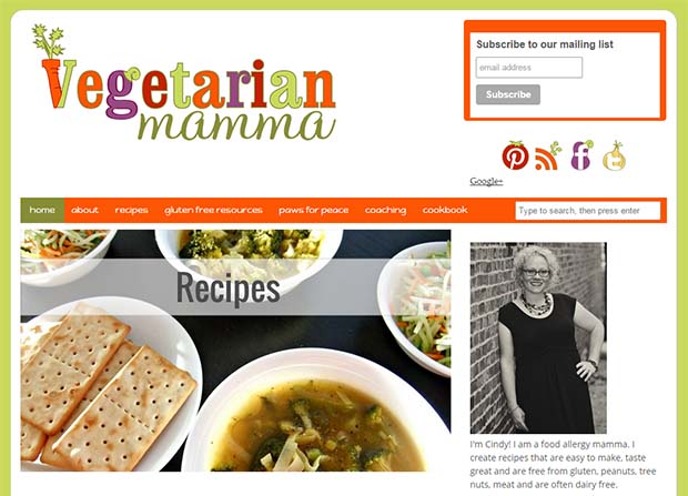 copyright: www.vegetarianmamma.com Vegetarian Mamma - Website Screenshot