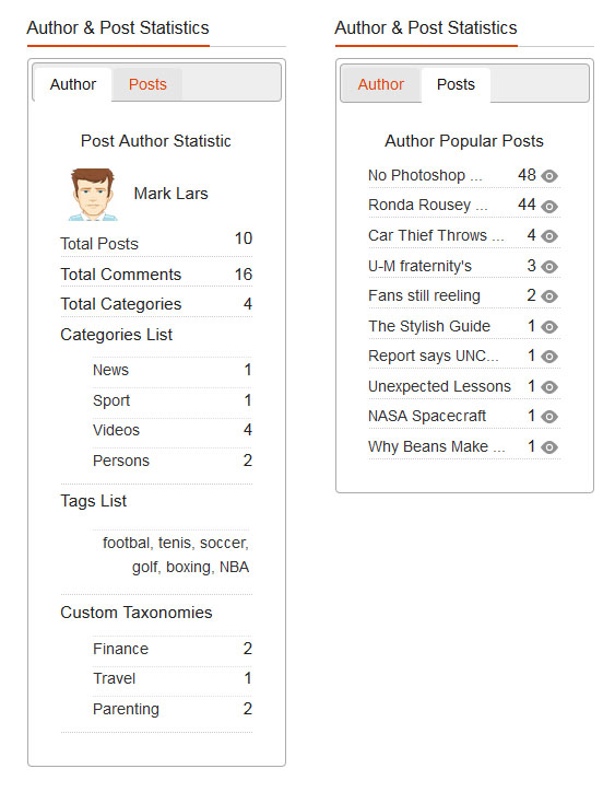 Author and Post Statistic Widgets