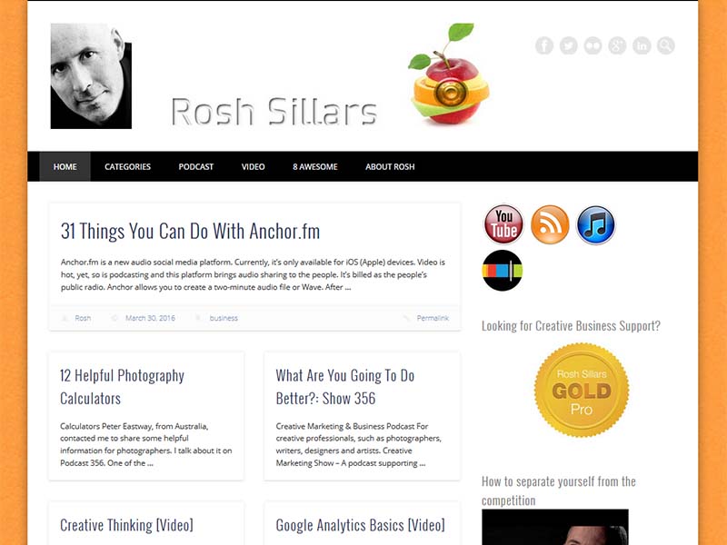 copyright: www.roshsillars.com Rosh Sillars - Website Screenshot