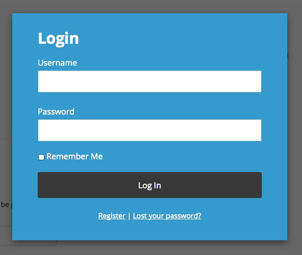 wordpress log in