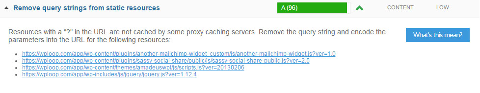 GTmetrix remove query strings from static resources 