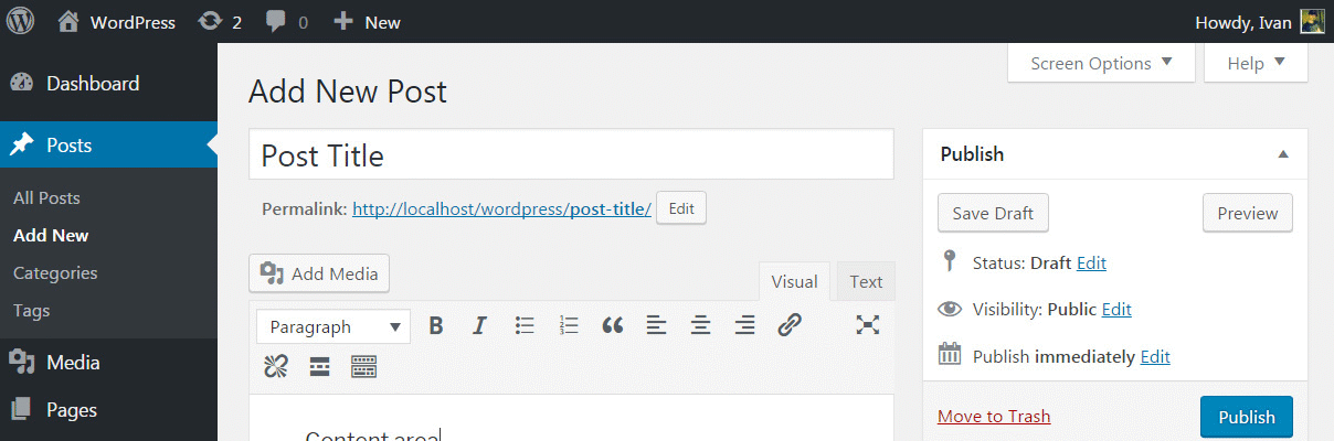 WordPress Screen Options post editor