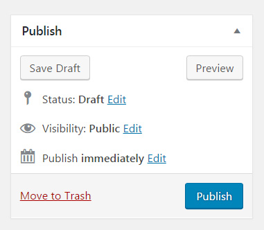 WordPress publishing options