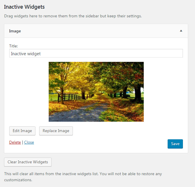 Inactive WordPress widget on the list