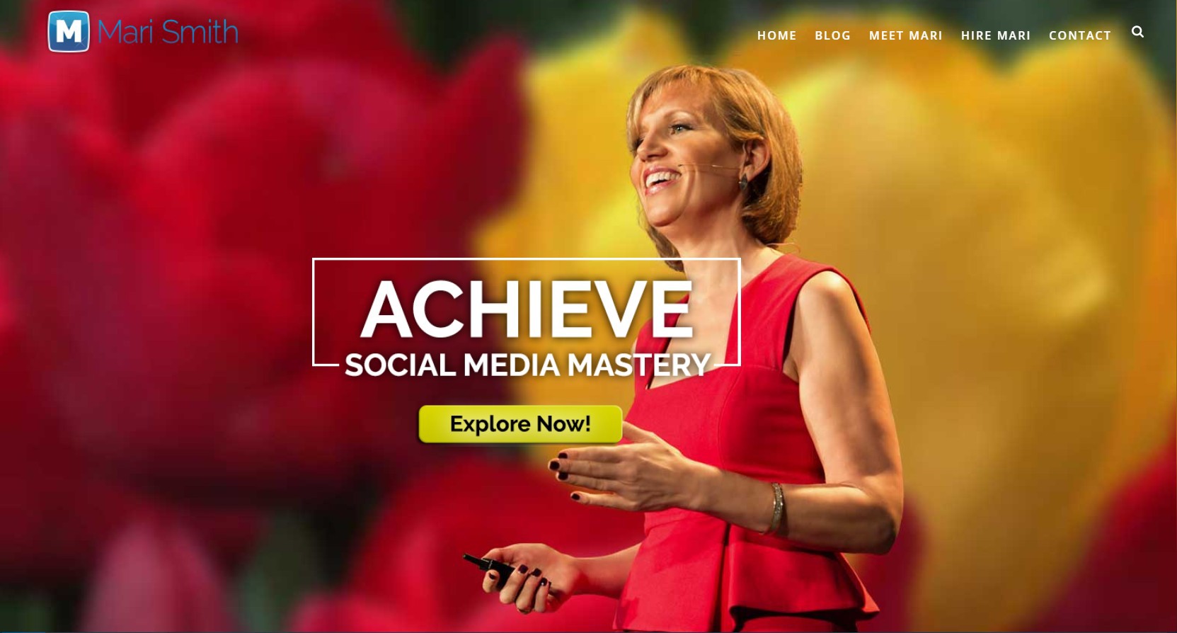 Mari Smith Website