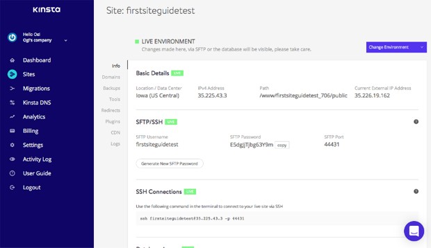 Kinsta control panel