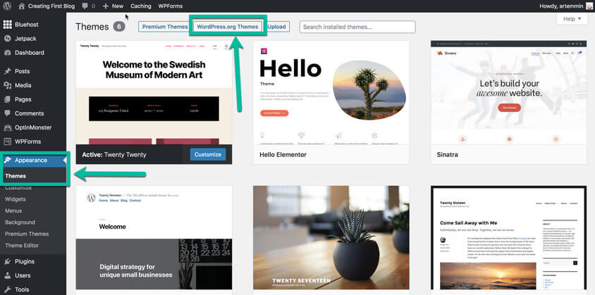 WordPress Appearance Theme