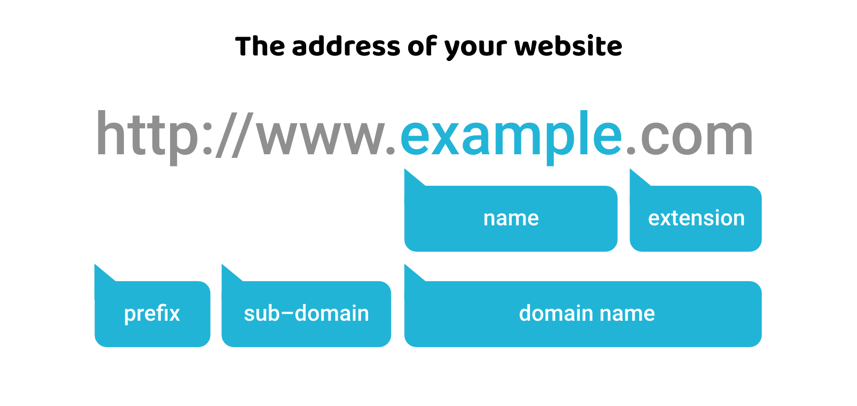 Examples of Domain Names (Different Types and Extensions)