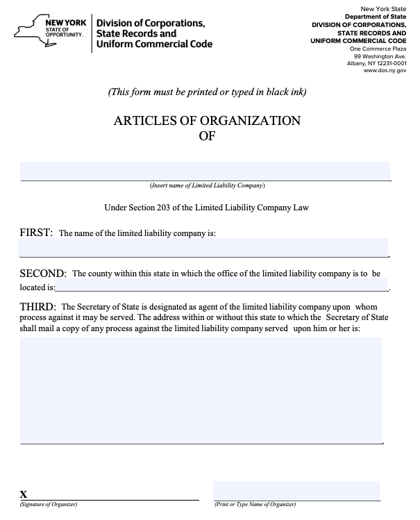 article of organization form for New York