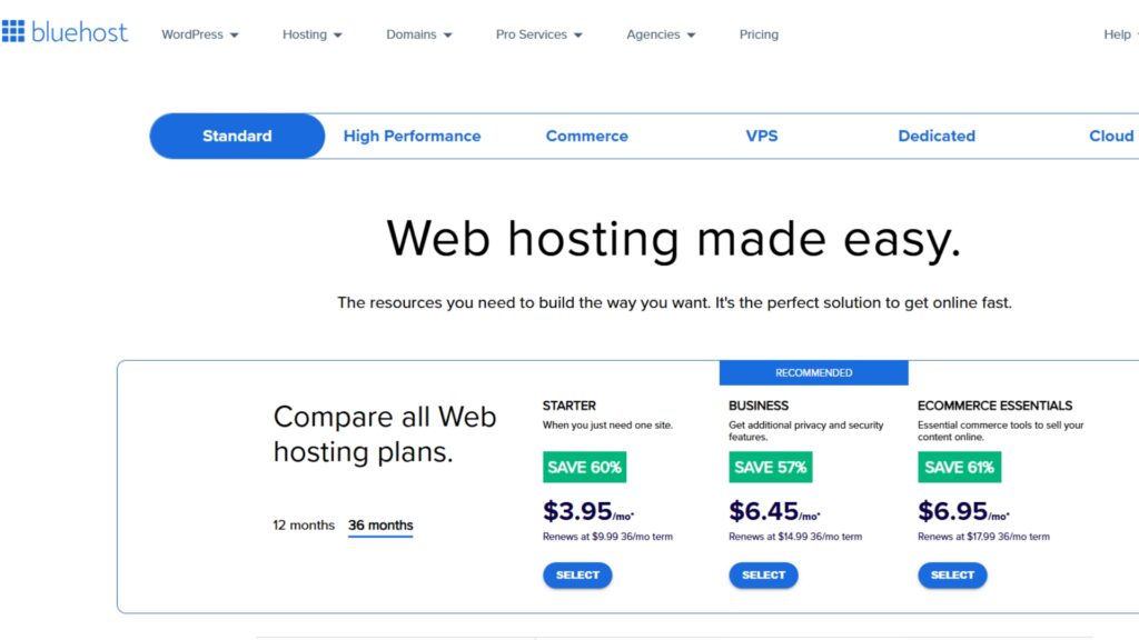 Must-have tools to start an online business Web hosting dashboard - BlueHost